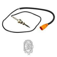 DELPHI TS30166