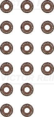 REINZ 12-53036-01