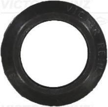 REINZ 70-21918-10