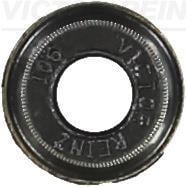 REINZ 70-31306-00