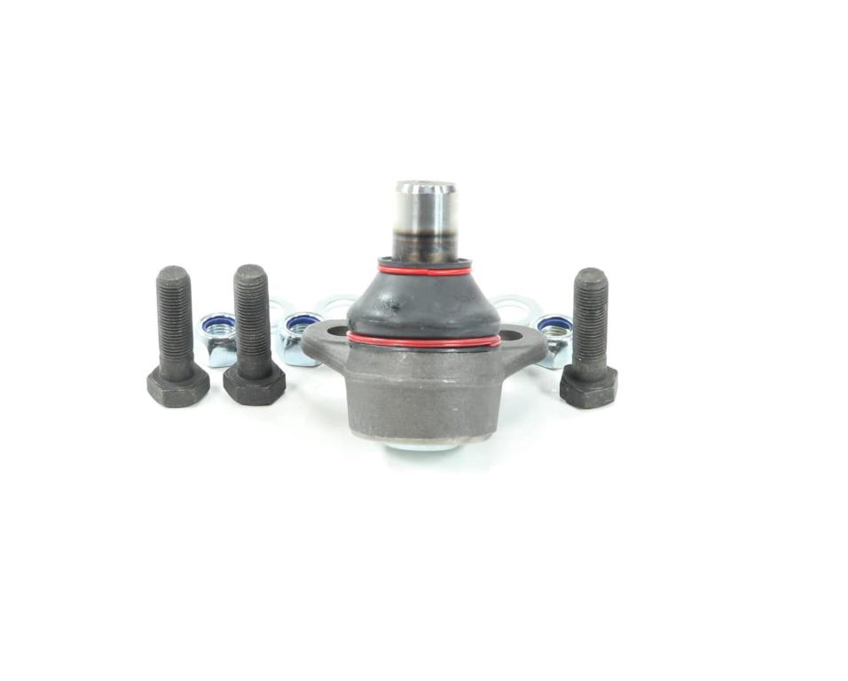 Rotule de suspension (Rotule de pivot) FEBI BILSTEIN 19562
