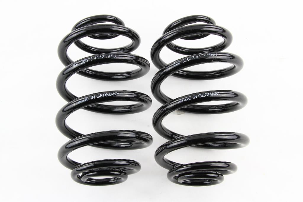 Jeu de 2 ressorts de suspension FEBI BILSTEIN 38673