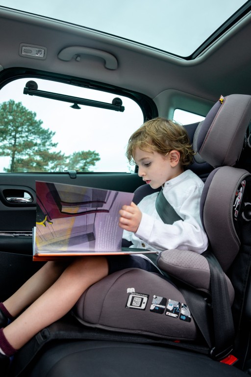 Organiseur de rangement (Rangement voiture) POLAIRE ref. IAEZ-1501