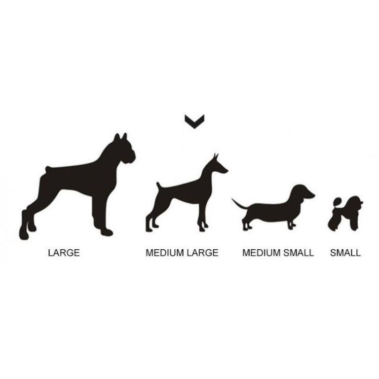 Seguridad animal Objectif Prévention ref. OPCEINT-ANIMAL