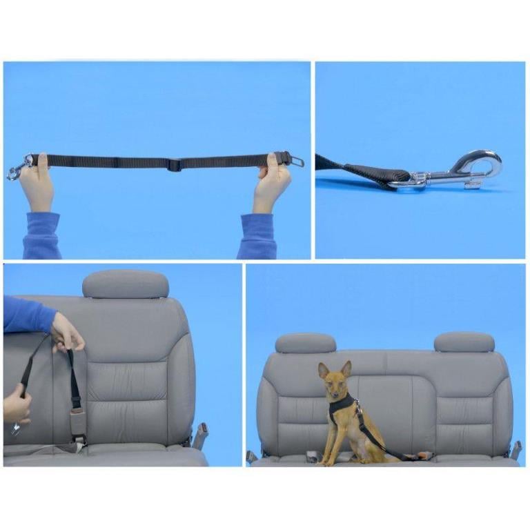 Seguridad animal Objectif Prévention ref. OPCEINT-ANIMAL