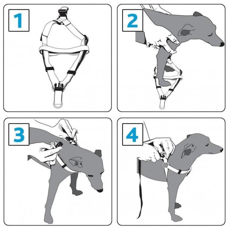 Seguridad animal Objectif Prévention ref. OPHARNAIS-T-M