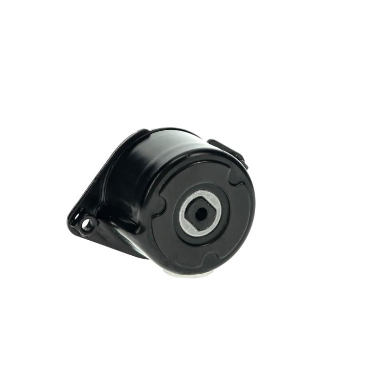 Rolo tensor da correia trapezoidal estriada SNR ref. GA350.60