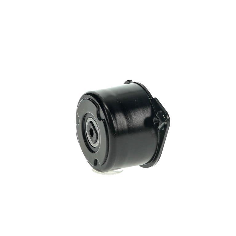 Rolo tensor da correia trapezoidal estriada SNR ref. GA350.60