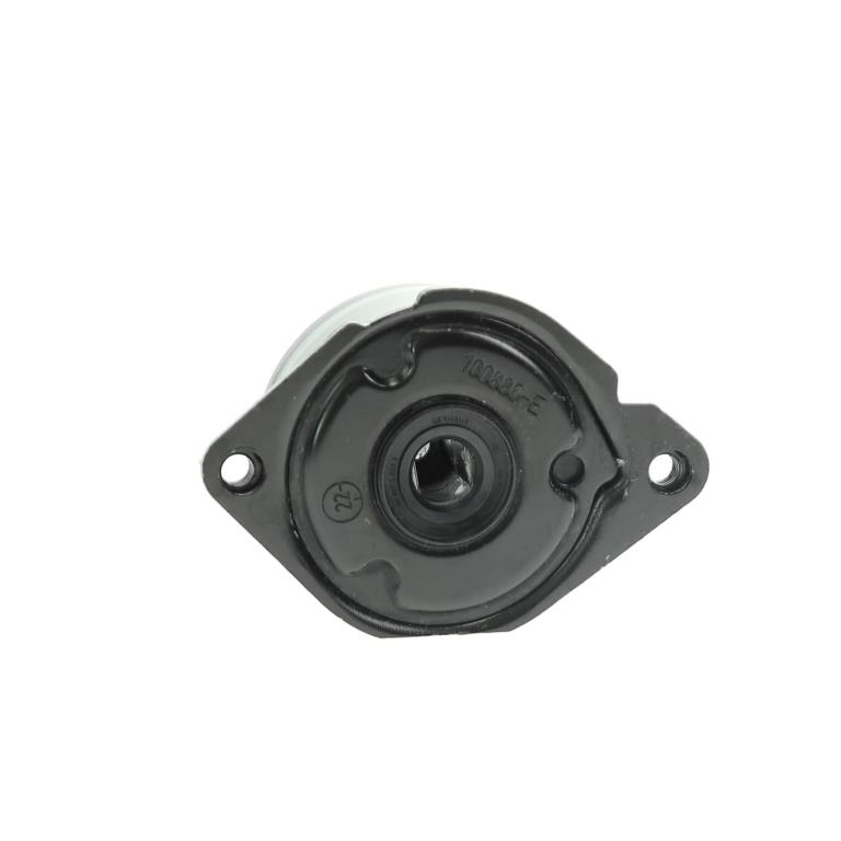Rolo tensor da correia trapezoidal estriada SNR ref. GA350.83