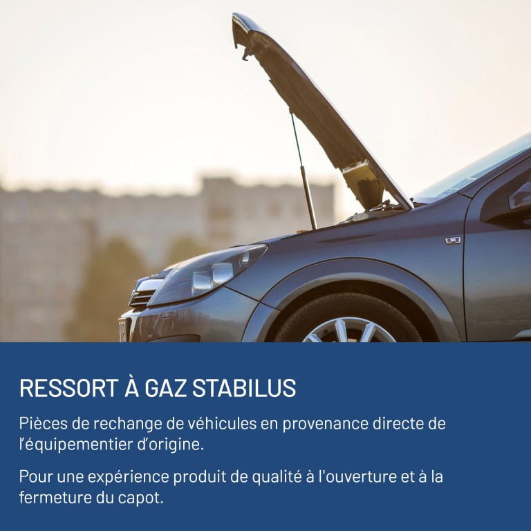 Vérin (Vérin de hayon) STABILUS 222779