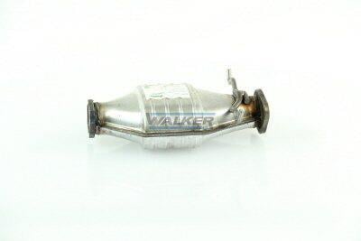 Catalizador WALKER 20900