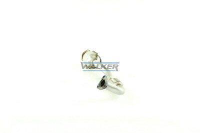 Catalizador WALKER 28018