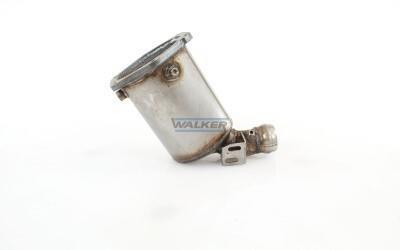 Filtro de partículas (FAP Diesel) WALKER ref. 73143