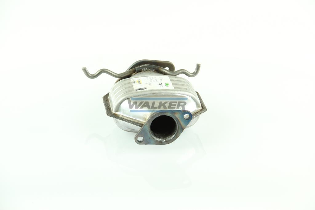 Catalizador WALKER 20900
