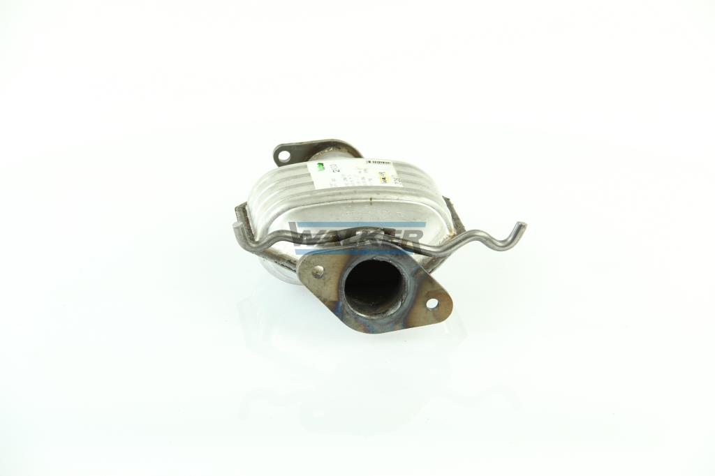 Catalizador WALKER 20900