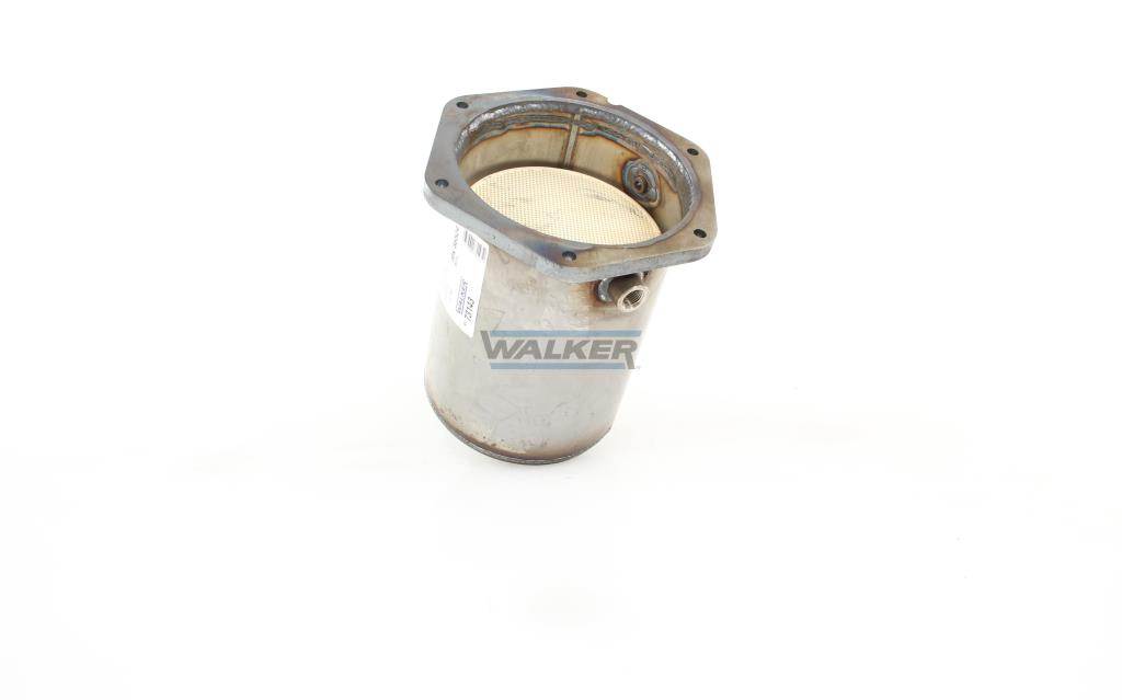 Filtro de partículas (FAP Diesel) WALKER ref. 73143