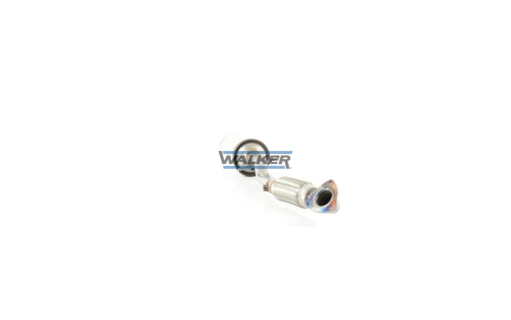 Filtre à particules / FAP (FAP diesel) WALKER ref. 73192