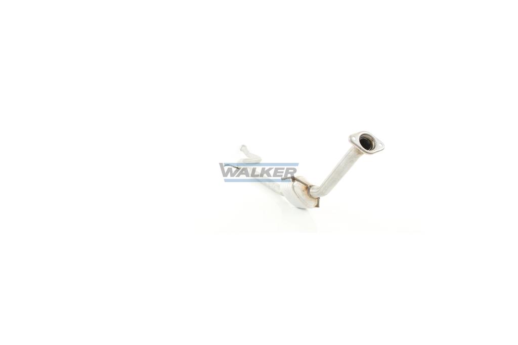 Catalisador WALKER 20299