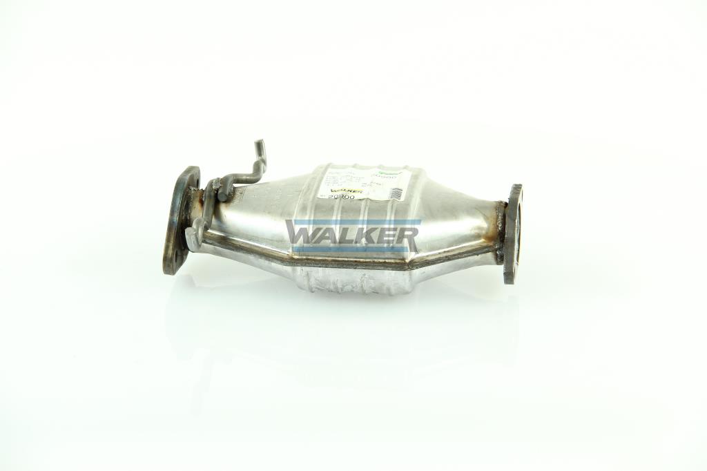 Catalizador WALKER 20900