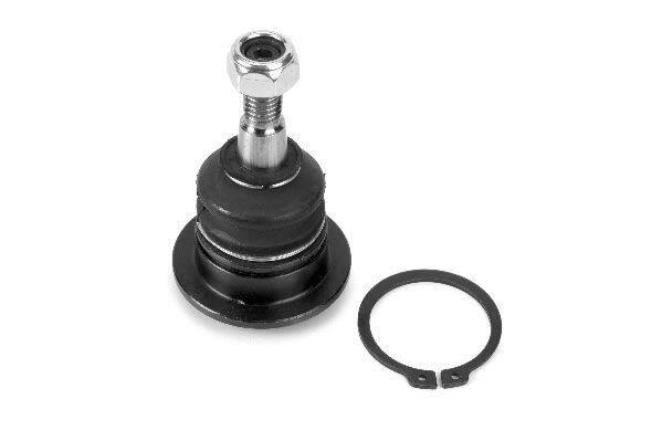 Rotule de suspension (Rotule de pivot) MOOG LR-BJ-4838