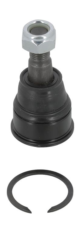 Rotule de suspension (Rotule de pivot) MOOG HO-BJ-10556