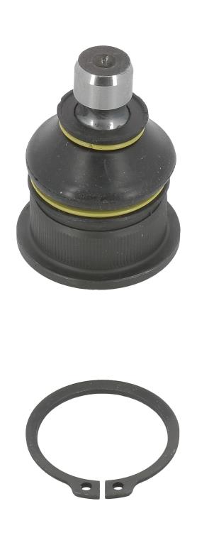 Rotule de suspension (Rotule de pivot) MOOG RE-BJ-2094