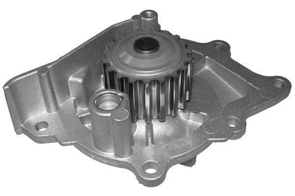 Pompe à eau DOLZ C145