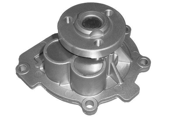 Pompe à eau DOLZ O263