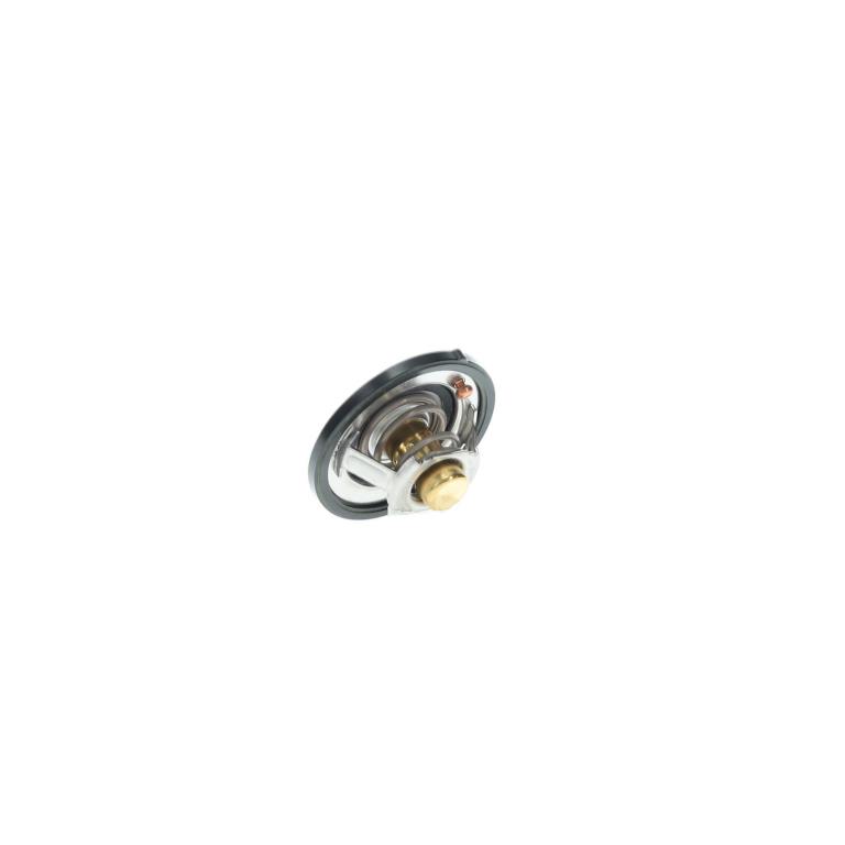 Thermostat d'eau (Calorstat) FACET ref. 7.8803
