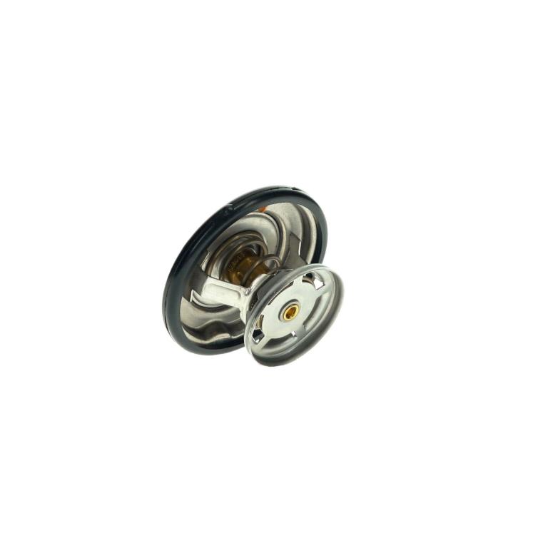 Thermostat d'eau (Calorstat) FACET ref. 7.8280