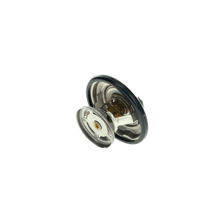 Thermostat d'eau (Calorstat) FACET ref. 7.8280