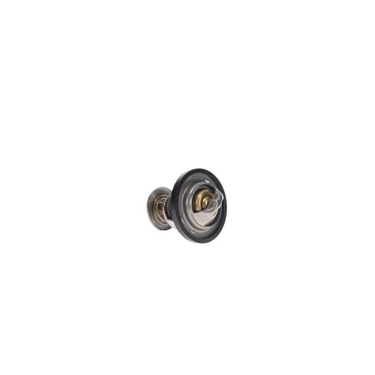 Thermostat d'eau (Calorstat) FACET ref. 7.8389