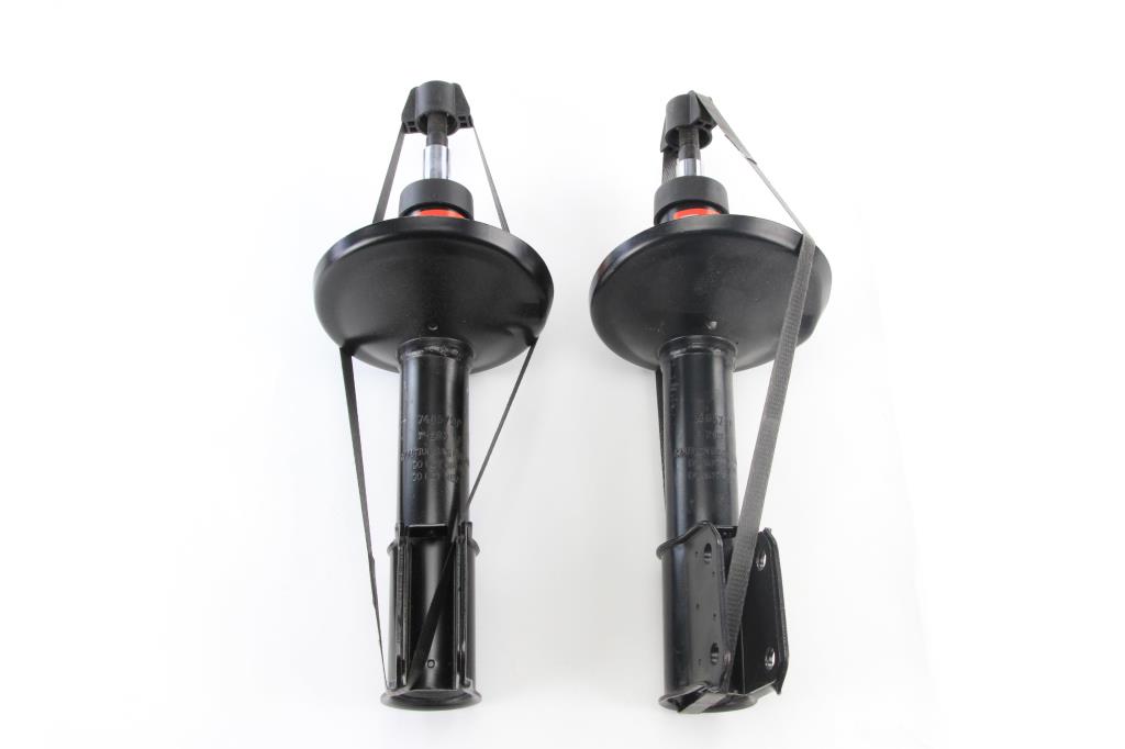 Amortecedores de choque TRW TWIN - ref. JGM241T