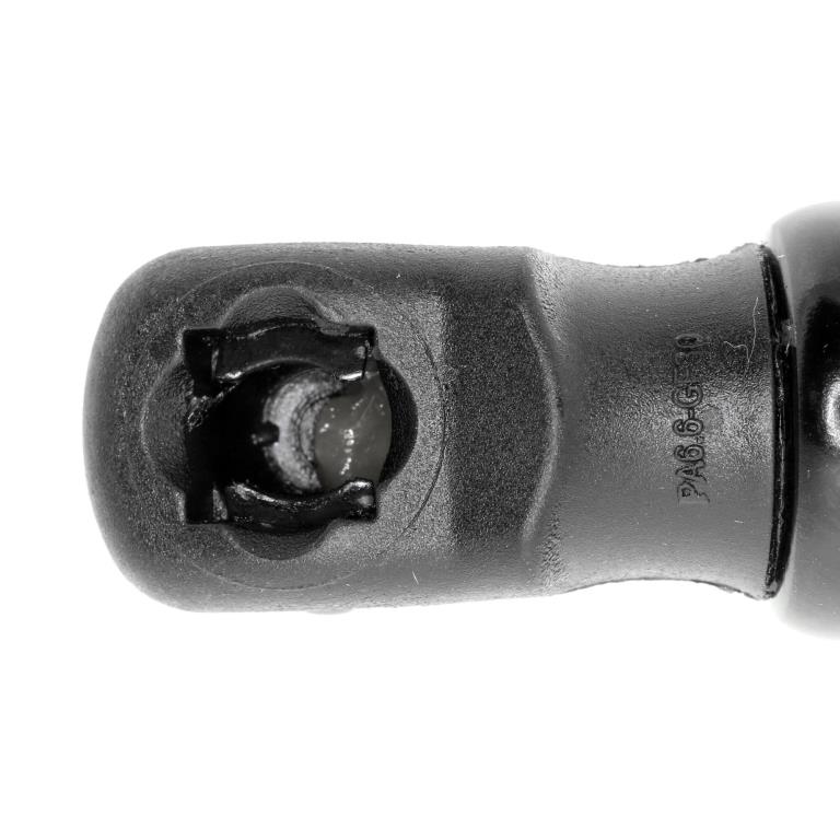 Muelle neumático VAICO V10-1956
