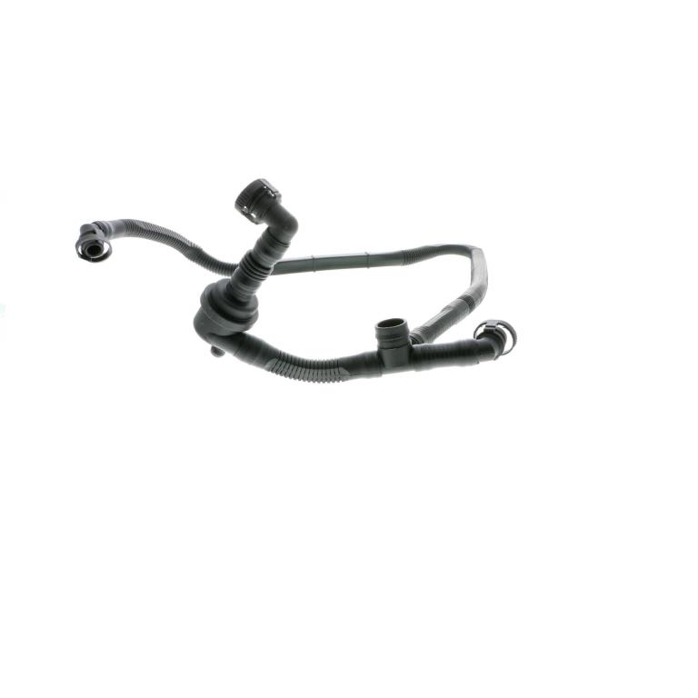 Tuyau, ventilation de carter-moteur (Tuyau de vapeur d'huile moteur) VAICO ref. V10-2677