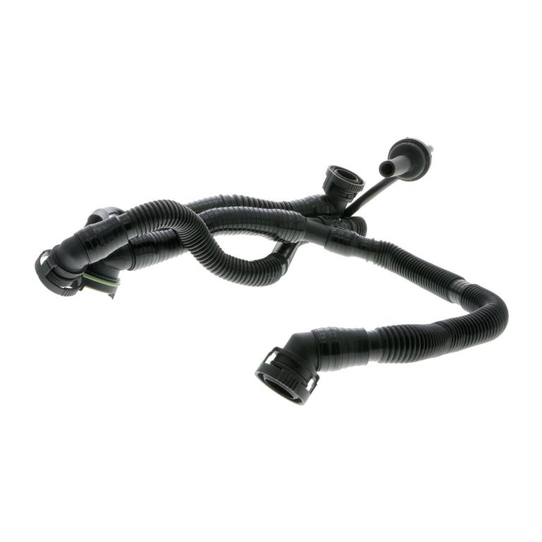 Tuyau, ventilation de carter-moteur (Tuyau de vapeur d'huile moteur) VAICO ref. V10-3505