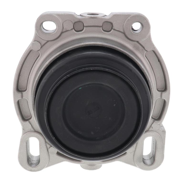 Support moteur (Silent bloc moteur) VAICO V25-2461