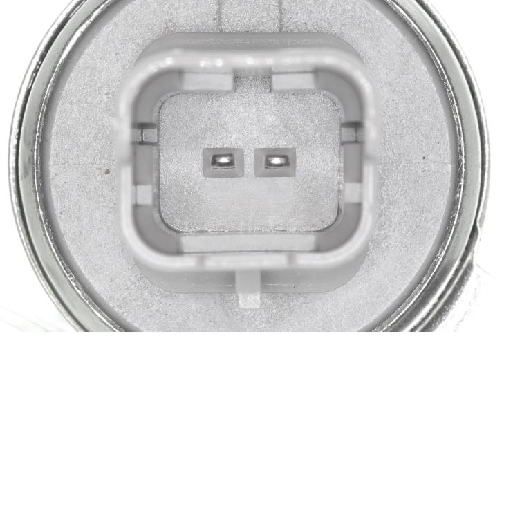 Tapón taladro tapa balancines VAICO V46-1727