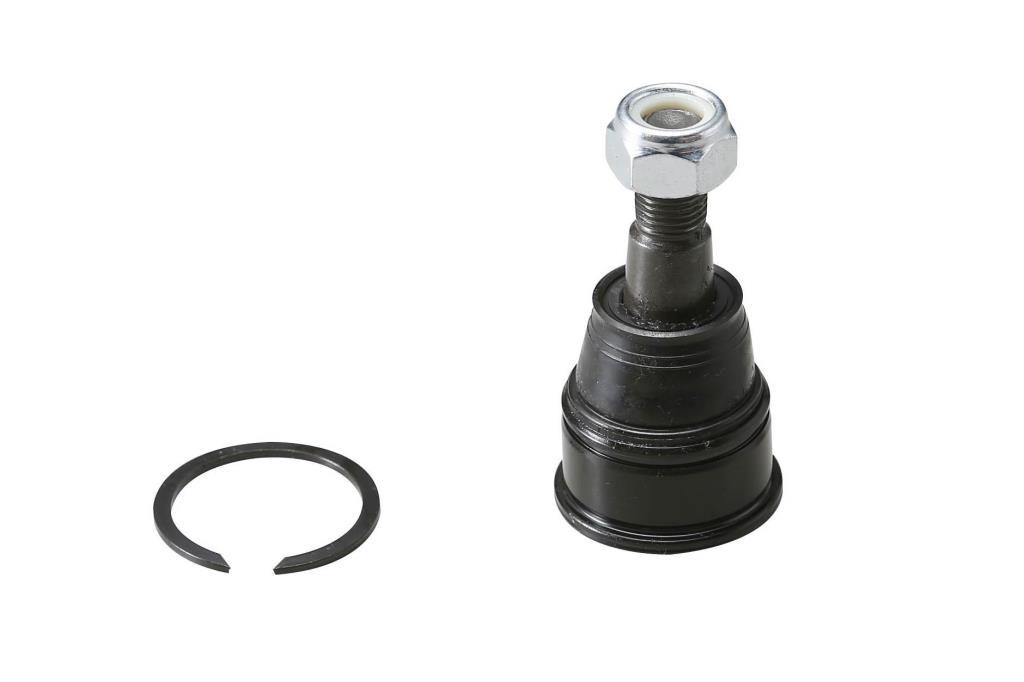Rotule de suspension (Rotule de pivot) AISIN JBJHO-007