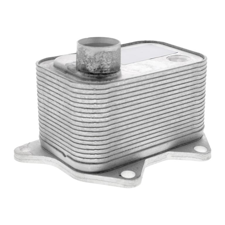 Radiateur d'huile moteur (Refroidisseur d'huile moteur) VEMO V15-60-0015