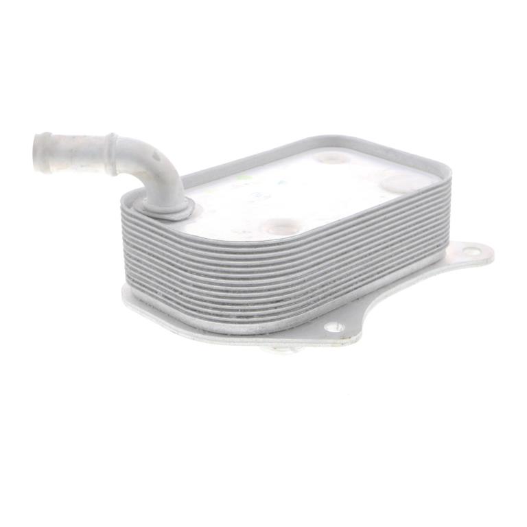 Radiateur d'huile moteur (Refroidisseur d'huile moteur) VEMO V15-60-6071