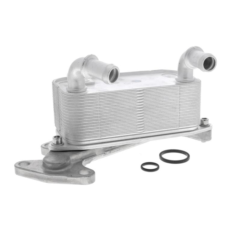 Radiateur d'huile moteur (Refroidisseur d'huile moteur) VEMO V15-60-6073