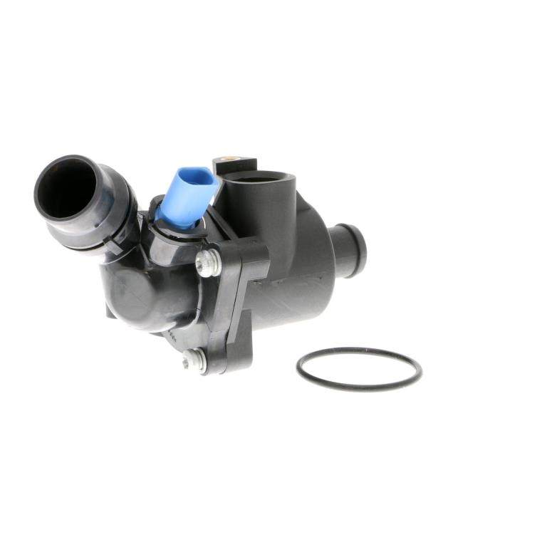 Thermostat d'eau (Calorstat) VEMO V15-99-1905