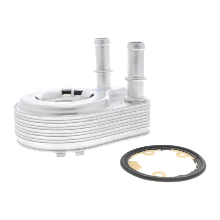 Radiador óleo motor VEMO ref. V24-60-0021