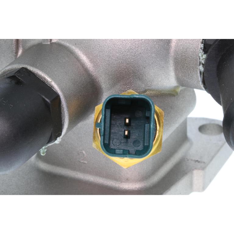 Thermostat d'eau (Calorstat) VEMO V24-99-0028