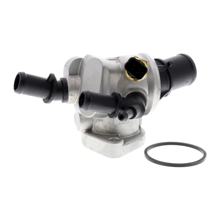 Thermostat d'eau (Calorstat) VEMO V24-99-0040