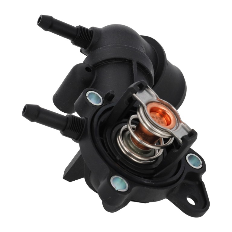 Thermostat d'eau (Calorstat) VEMO V24-99-0056