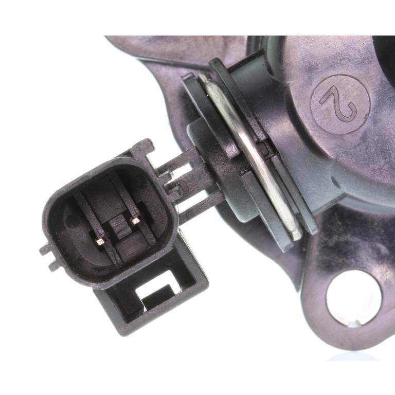 Thermostat d'eau (Calorstat) VEMO V25-99-1703