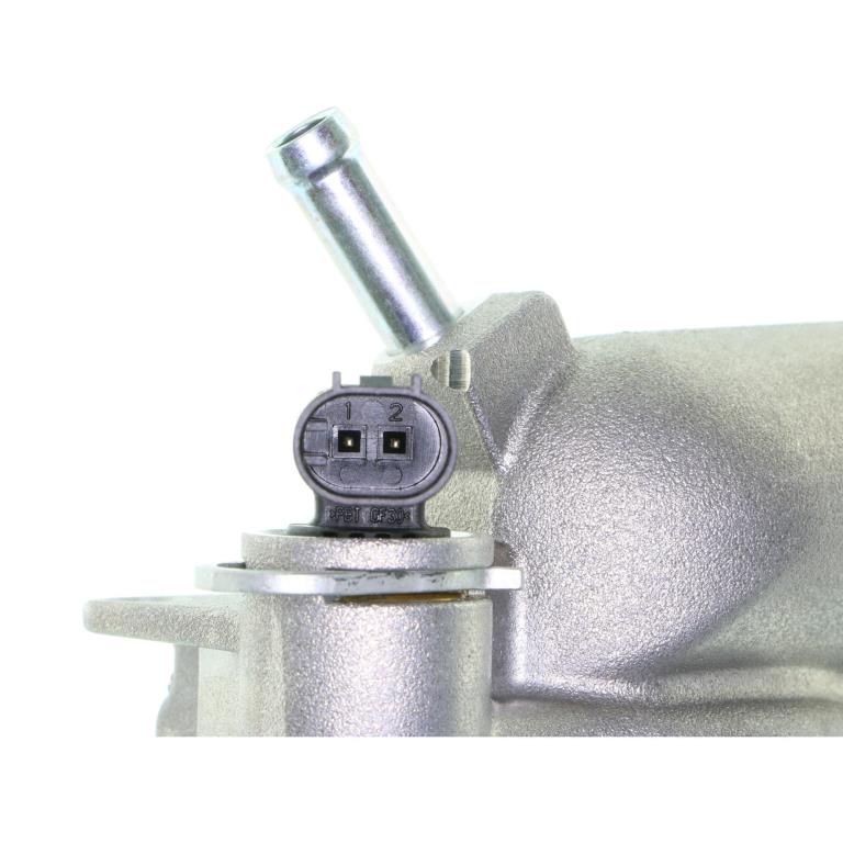 Thermostat d'eau (Calorstat) VEMO V30-99-0101