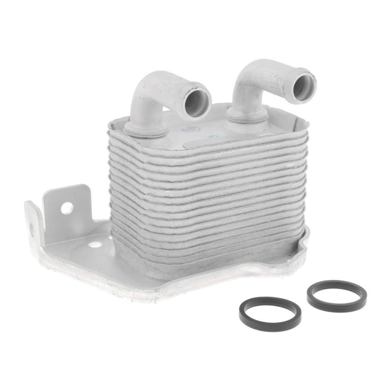 Radiador óleo motor VEMO ref. V40-60-2105